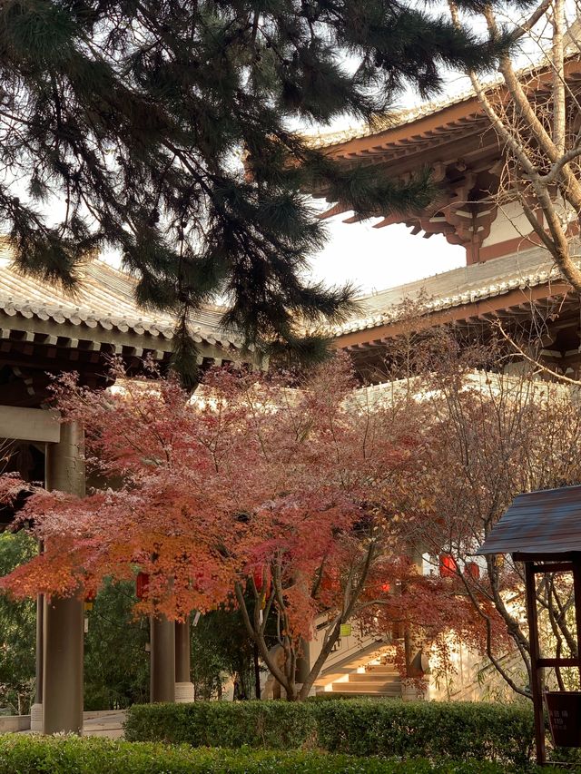 河北廊坊~
