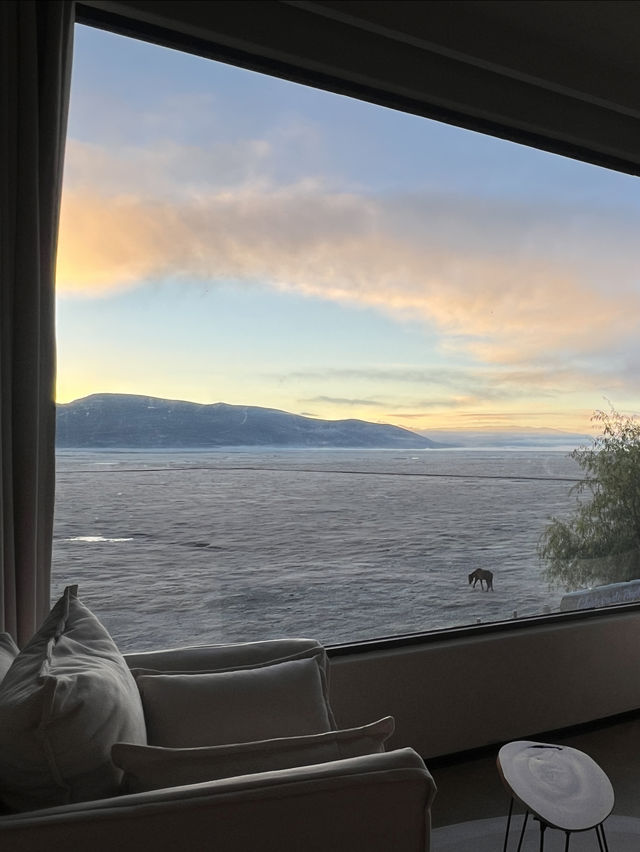在納帕海拍的人生照片，美哭了