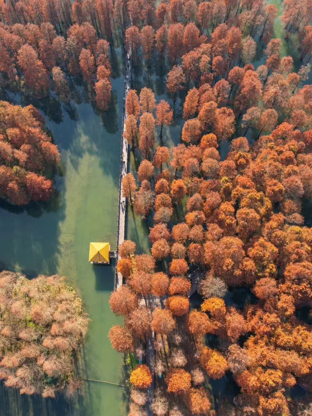 가족 여행으로 구이양-리보-시장 치엔후 먀오쟈이 완벽 가이드