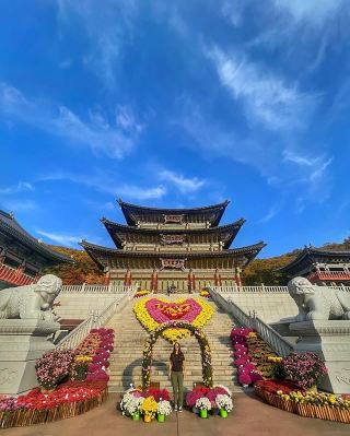 韓國金泉市大光寺：寧靜的佛教聖地，體驗心靈的淨化
