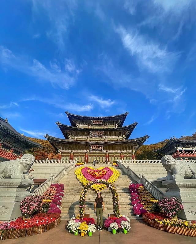 韓國金泉市大光寺：寧靜的佛教聖地，體驗心靈的淨化