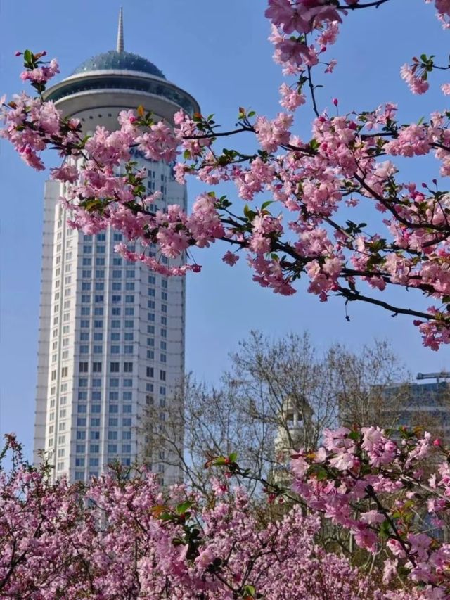 上海的春天，是萬萬次春和景明附地址！