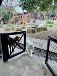 小島動物園