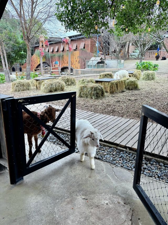 小島動物園