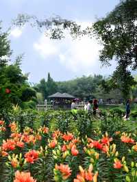漳州花博園：花海盛宴與生態樂園的完美結合