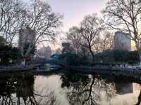 Lu Xun Park in Shanghai: A Must-Visit in China 🇨🇳🌳