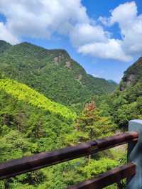 金華磐安青梅尖無濾鏡原片直出的風車美景