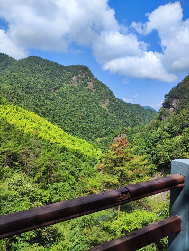 金華磐安青梅尖無濾鏡原片直出的風車美景