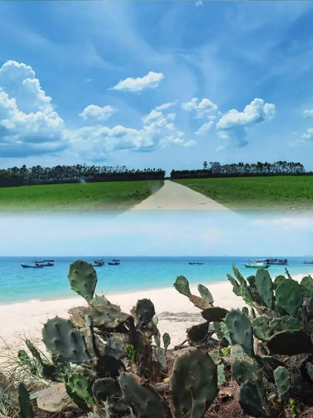Hainan West Coast Self-Driving Tour: A Wonderful Journey of Hits and Misses