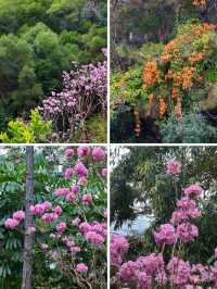 仙岳公園踏青攻略！週末帶上小夥伴一起賞花