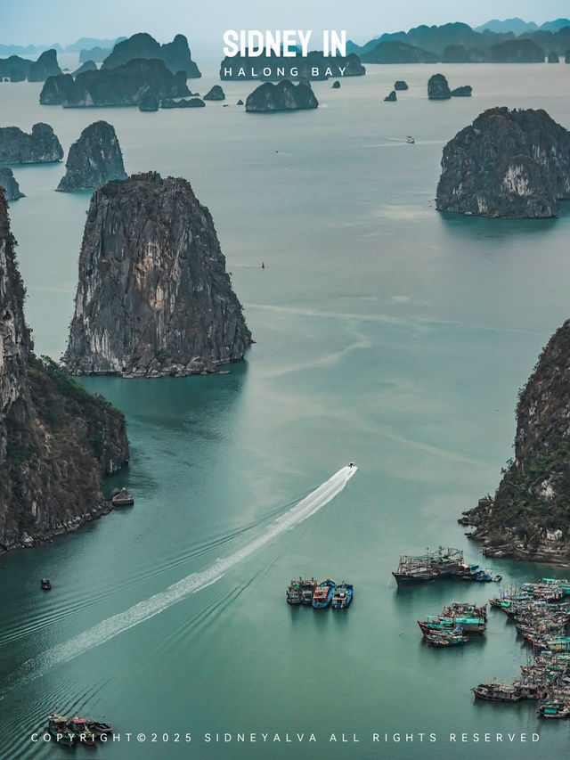🇻🇳下龍灣顫抖登頂❗️人生封面在此🏞