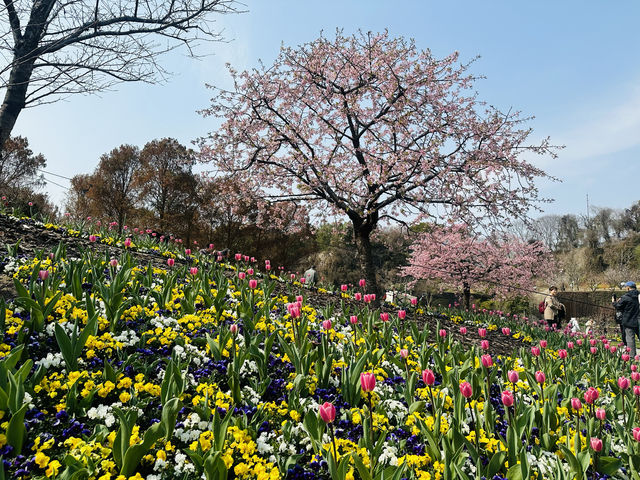 上海辰山植物園