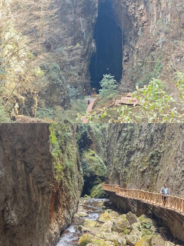 被雲南私藏的「地心博物館」，終於藏不住啦