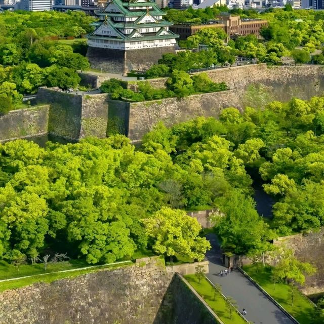 【😍大阪城希爾頓逸林酒店，平靚正之選！】