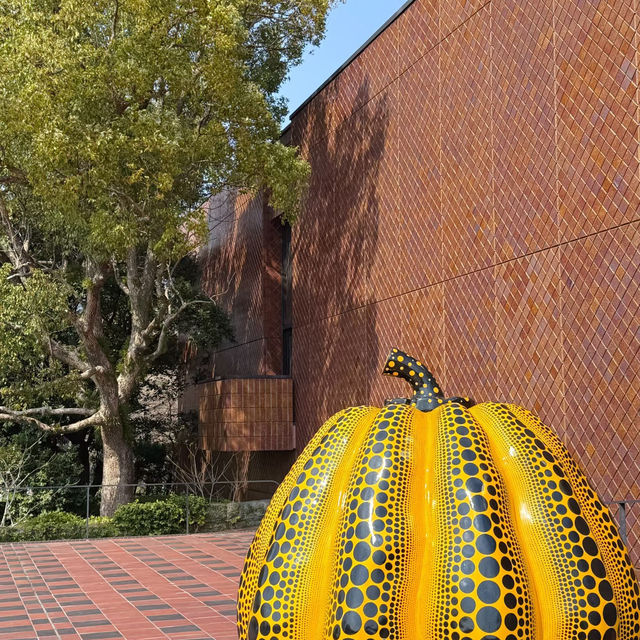 福岡大濠公園，被幸福擊中💕