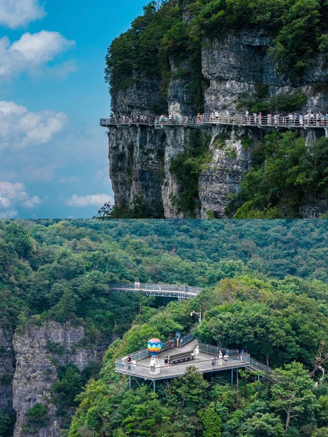 龍頭山雲端漫步｜被這處天然氧吧仙境種草了