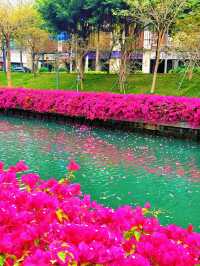 探索後海中心河公園，感受城市中的生態靜謐