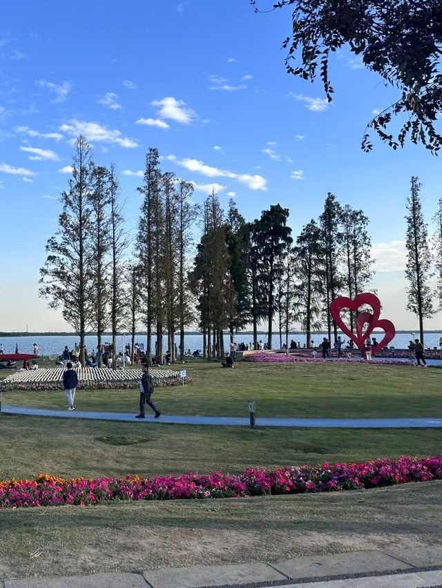 上海淀山湖景區超全遊玩攻略