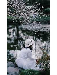 Exploring Hangzhou: A Serene Walk Through Maojiabu