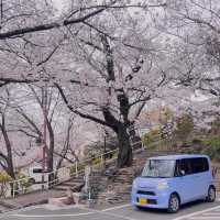 大阪出發紀三井寺 | 穿越千年的古寺之旅