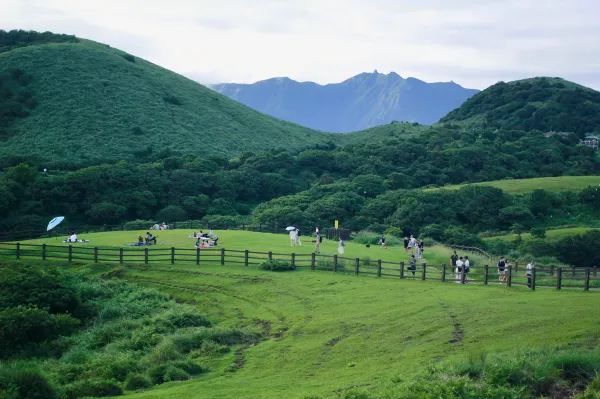 絕美陽明山擎天崗，天氣好時一定要來！
