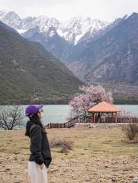 比起嘎拉桃花村，我更愛沿途的雪山和桃樹
