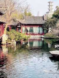 鄭州｜紫金山公園｜春日限定｜梅櫻共舞嘅浪漫奇遇