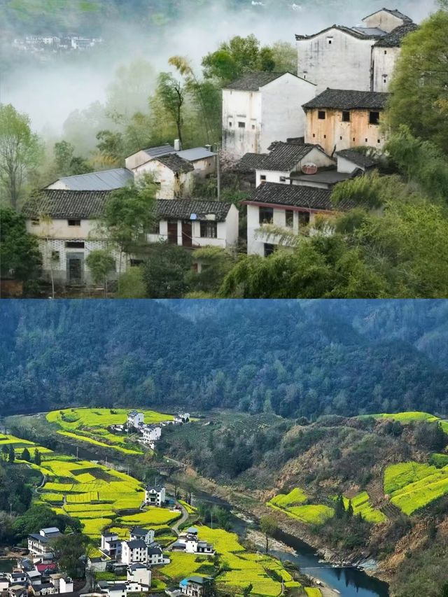 歙縣已回，真是春天裡的天花板。