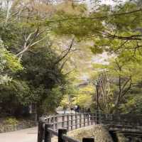 逃離大阪市區喧囂，奔赴箕面北公園吸氧啦🌿