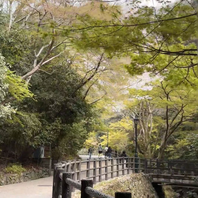 逃離大阪市區喧囂，奔赴箕面北公園吸氧啦🌿