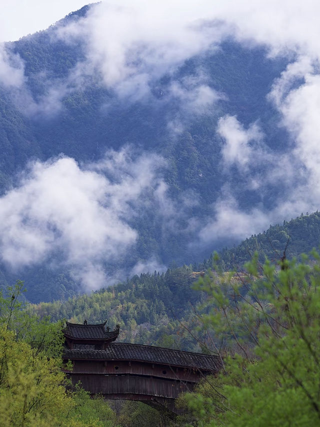 魅力中國 | 歷久彌新的永和廊橋