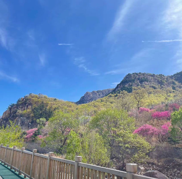 泰山隱藏玩法 | 本地人才知道的秘密打卡地