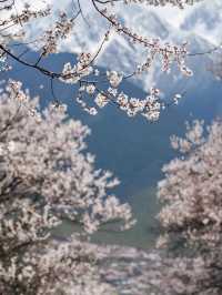 比起索松村，我更愛這個人少且免費的桃花村～