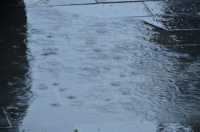 雨霁枕河：杭州枕河居民宿的煙雨水墨圖
