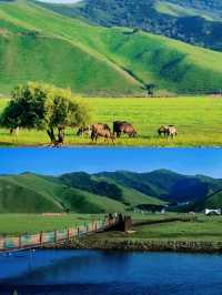 《阿爾山：在木屋與氈房間，觸摸北疆靈魂》