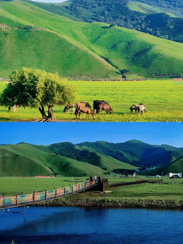 《阿爾山：在木屋與氈房間，觸摸北疆靈魂》