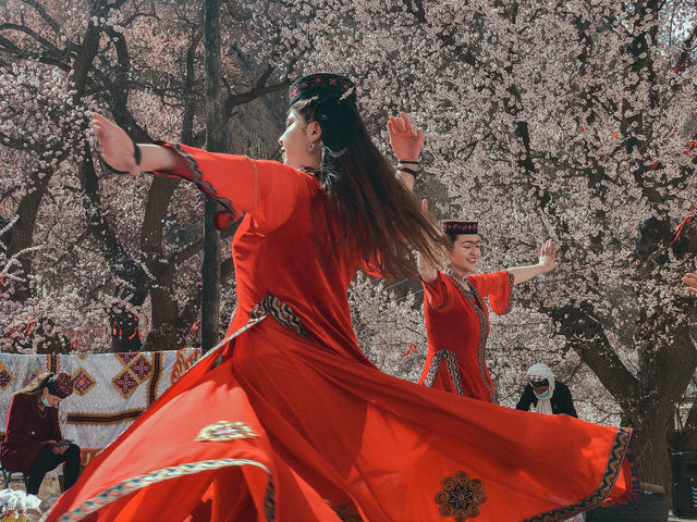 一窺南疆杏花香 |  春色盈野