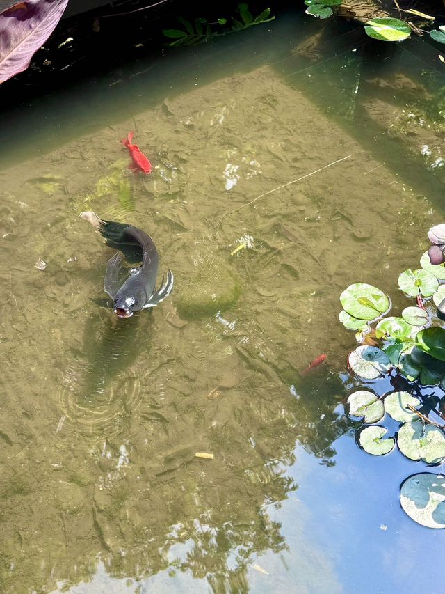 二刷杭州最愛的酒店就在西湖