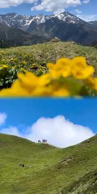 藏在川西的阿爾溝，今年夏天必須打卡！