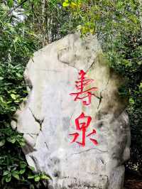 逃離城市計劃·闖入南山竹海的綠野仙蹤秘境