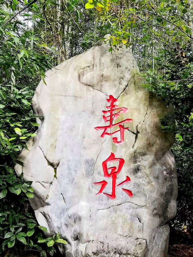 逃離城市計劃·闖入南山竹海的綠野仙蹤秘境