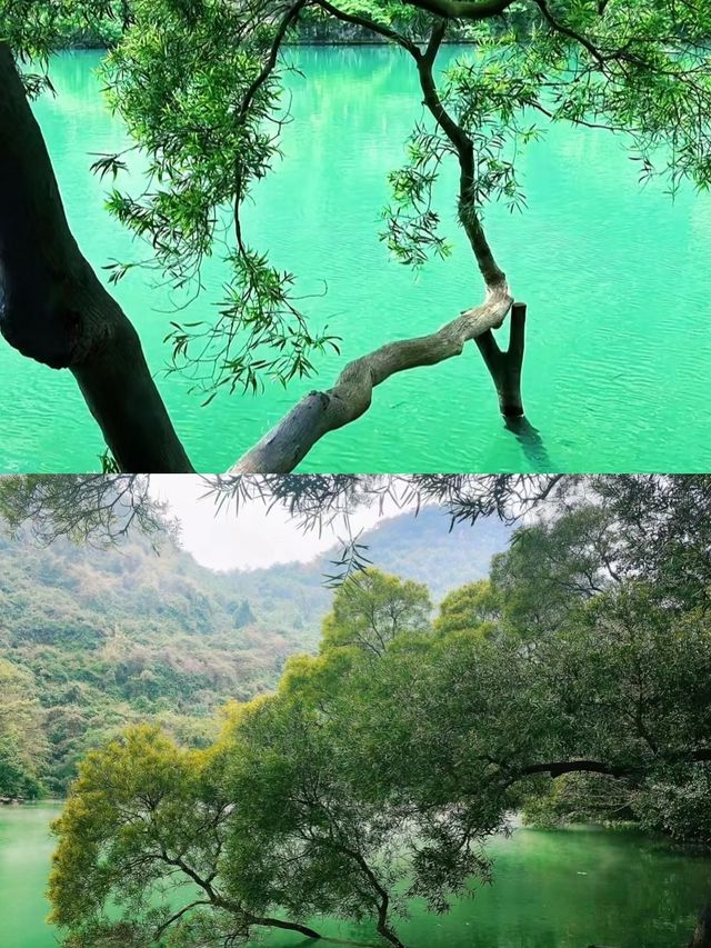 啱啱喺柳州返嚟。。後勁真係好大！！！（攻略）