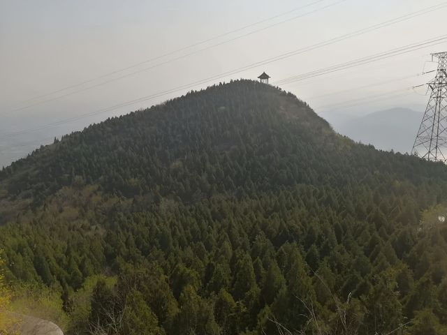 小朋友走咗都念念不忘，一路嗌住仲想嚟呀！