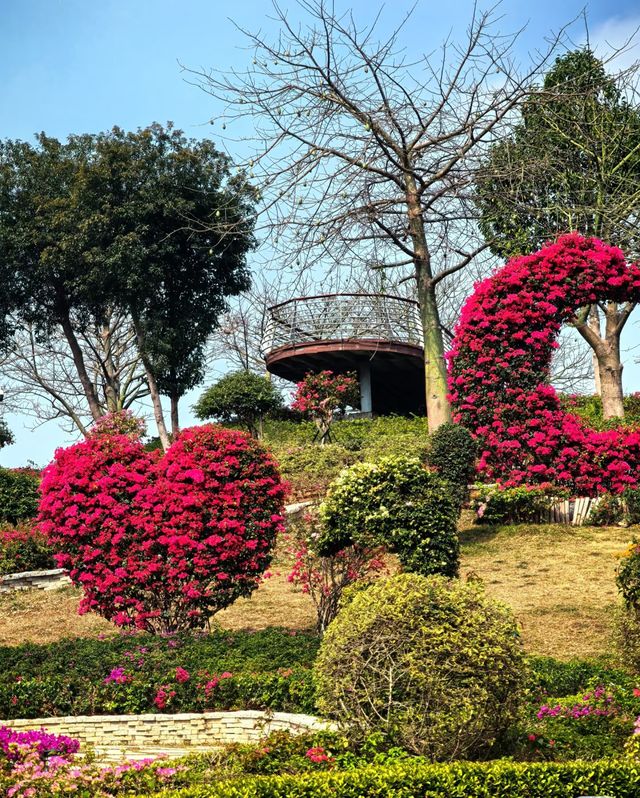 東莞植物園：大自然饋贈嘅詩意世外桃源