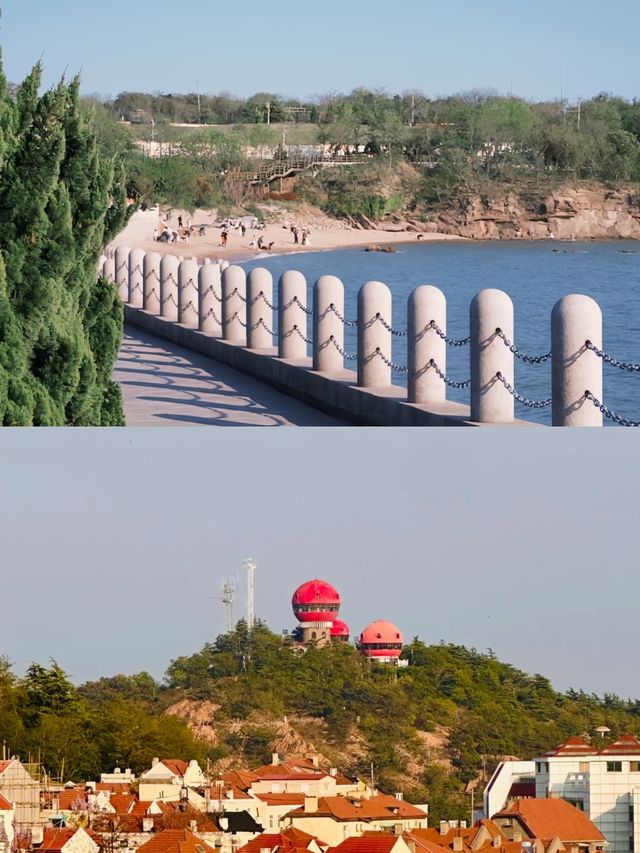 青島受罪已回，實話拒噴