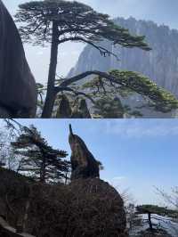 黃山受罪已回，真唔建議5月去！