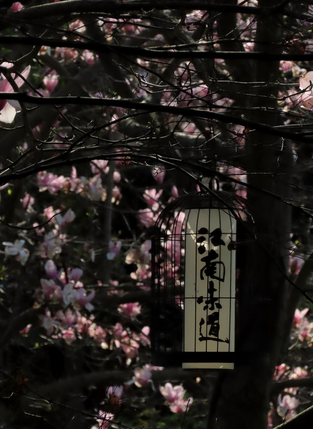 【永泉小鎮2日1夜】江浙滬私藏度假首選！