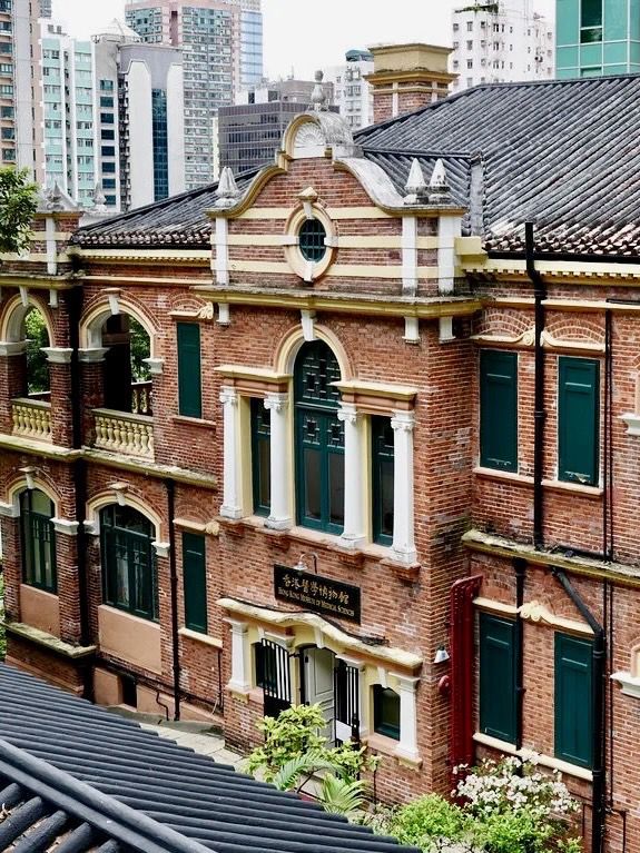 病理與人性：香港醫學博物館的白牆記憶