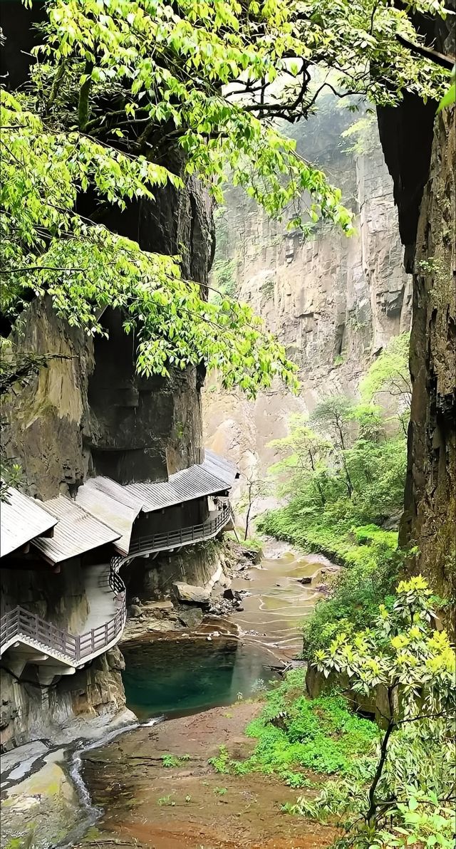 湖北22℃嘅森林秘境似仙俠世界