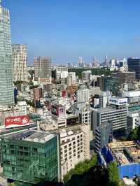 政商與藝術的交會地：東急凱彼德大酒店